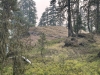 China Point