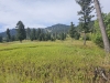 Green Mountain