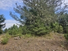 Green Mountain