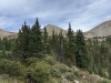 Birthday Peak