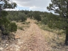 Camp Wilderness Ridge