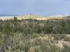 Bluewater Lookout