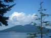 Cypress Island
