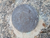 Buckman Benchmark