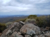 Buckman Benchmark