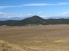 Bull Domingo Hills
