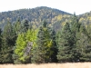 Rabbit Mountain