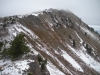 Wellsville Cone