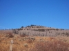 Willow Peak