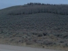 Owl Ridge