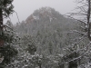 Turtle Mountain