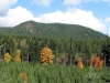 Dennie Ahl Hill