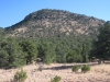 Elephant Mountain