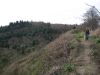 Maury Island