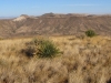 Sierra de las Uvas Wilderness HP