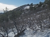 Hogback