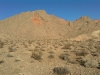 "Polytick Peak"